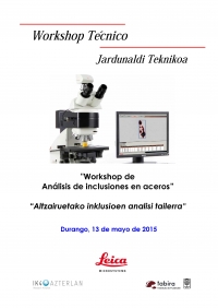 Programa del Workshop de An&Atilde;&iexcl;lisis de inclusiones en aceros